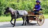 Enlarge photo 38