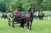 Enlarge photo 40