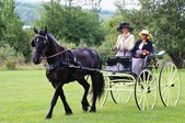 Enlarge photo 44