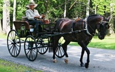 Enlarge photo 43