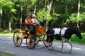 Enlarge photo 45