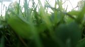Enlarge MOV 54
