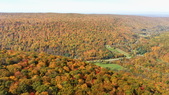 Enlarge photo 57