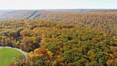 Enlarge photo 58