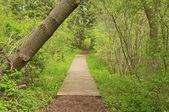 Enlarge photo 35