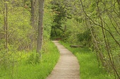 Enlarge photo 36