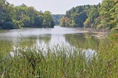 Enlarge photo 47