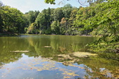 Enlarge photo 48