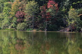 Enlarge photo 49