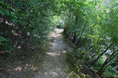 Enlarge photo 51