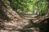 Enlarge photo 25