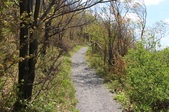 Enlarge photo 29