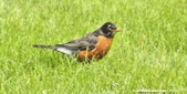 Enlarge photo 28