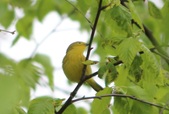 Enlarge photo 32