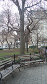 Enlarge photo 31