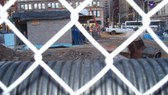 Enlarge photo 4