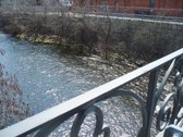 Enlarge photo 57