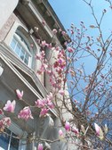 Enlarge photo 48