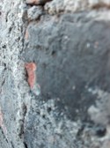 Enlarge photo 37