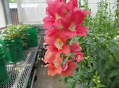 Enlarge photo 21