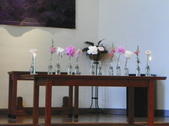 Enlarge photo 46