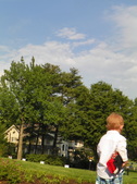 Enlarge photo 71