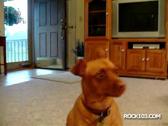 Enlarge WMV 22