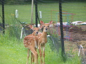 Enlarge photo 124