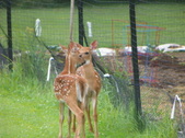 Enlarge photo 125