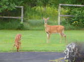 Enlarge photo 127