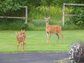 Enlarge photo 128