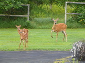 Enlarge photo 121