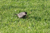 Enlarge photo 83