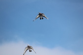 Enlarge photo 36