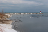 Enlarge photo 37