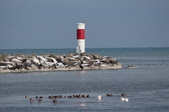 Enlarge photo 38