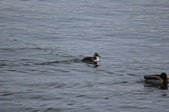 Enlarge photo 49