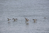 Enlarge photo 70