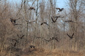 Enlarge photo 80