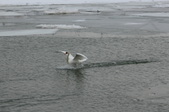 Enlarge photo 89