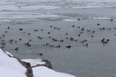 Enlarge photo 105