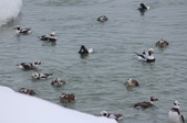 Enlarge photo 113