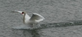 Enlarge photo 117