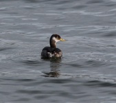 Enlarge photo 29
