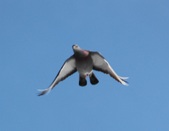 Enlarge photo 28