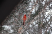 Enlarge photo 30