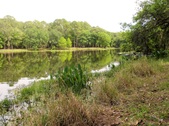 Enlarge photo 1