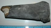 Fossils