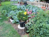 Enlarge photo 9
