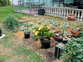 Enlarge photo 4